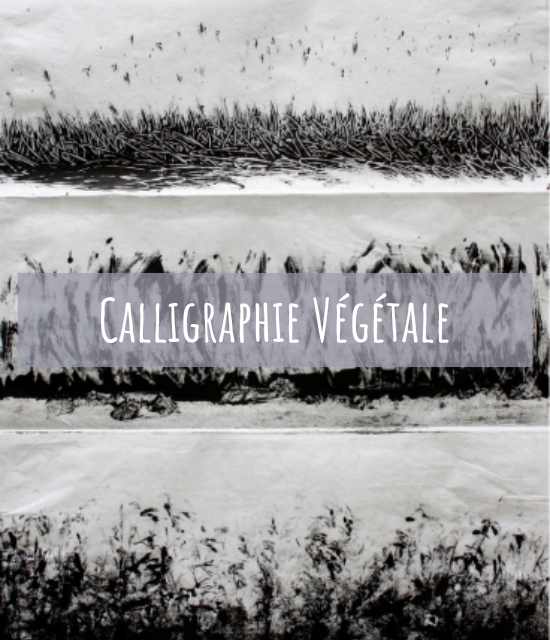 couleurs_de_loli_calligraphies