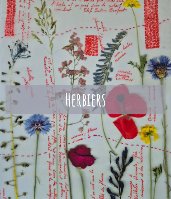 couleurs_de_loli_herbiers