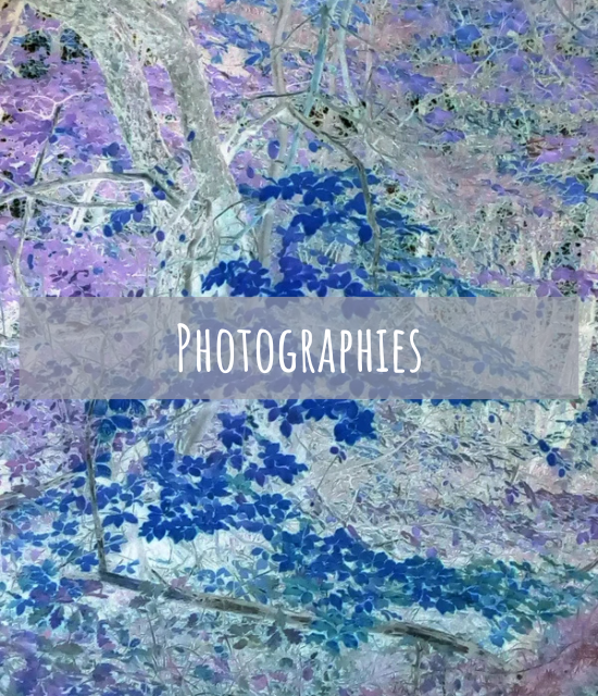 couleurs_de_loli_photographies