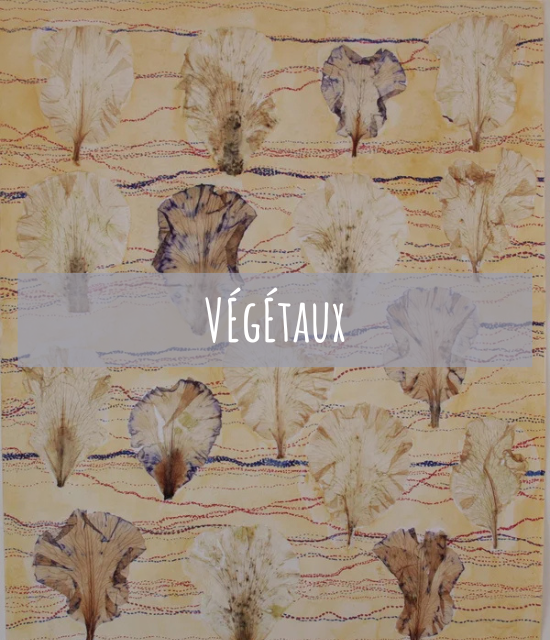 couleurs_de_loli_vegetaux